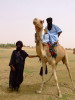 Tuareg Helfer